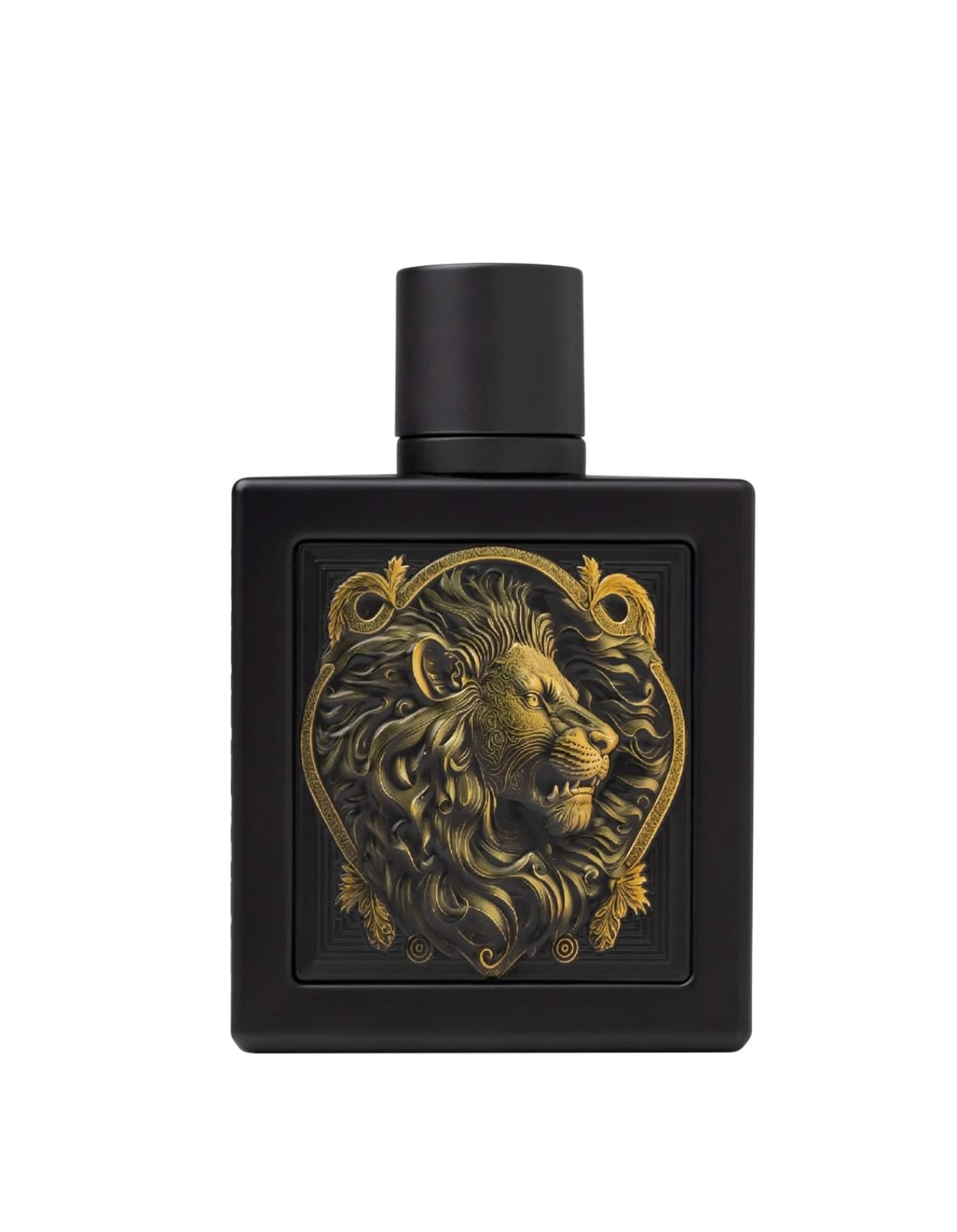 RAYHAAN LION